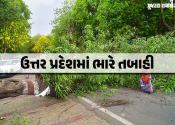 ઉત્તર પ્રદેશમાં આંધી તોફાનનો કહેર, 54 લોકોના મોત, 38 જિલ્લામાં યેલો એલર્ટ જાહેર | up weather update …