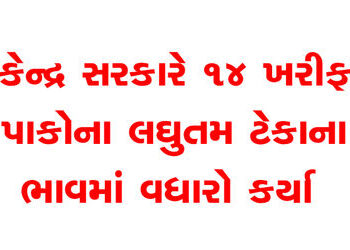 કેન્દ્ર સરકારે 14 ખરીફ પાકોના લઘુતમ ટેકાના ભાવમાં વધારો કર્યા | Central government increases minimum…