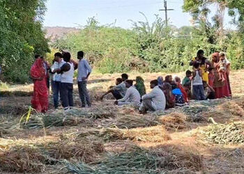 સાબરકાંઠા: ખેડબ્રહ્મામાં નદી કિનારે ખેતરમાં ઝાડ પર યુવક-યુવતીના લટકતી હાલતમાં મૃતદેહ મળ્યાં | Two Bo…