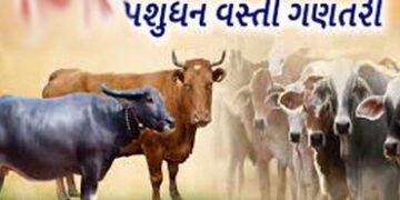 છેલ્લી પશુ વસ્તી ગણતરી પ્રમાણે જિલલાના તળાજા તાલુકામાં હાઇએસ્ટ 1.78 લાખ પશુઓ | livestock census the …