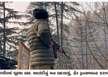 કાશ્મીરમાં ઘૂસ્યા બાદ આતંકીનું મન બદલાયું, હેર ટ્રાન્સપ્લાન્ટ કરાવ્યા | Terrorist changes mind after…