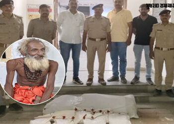 કચ્છના રાપરમાં ‘મામાદેવ મંદિર’ના પૂજારીએ ગાંજો વાવ્યો, 14 લીલા છોડ સાથે થઈ ધરપકડ | Kutch News Rapar …