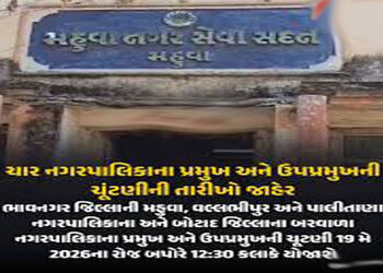 આજે ભાવનગર જિલ્લાની 3 પાલિકામાં પ્રમુખ-ઉપપ્રમુખની ચૂંટણી | Election of President and Vice President …