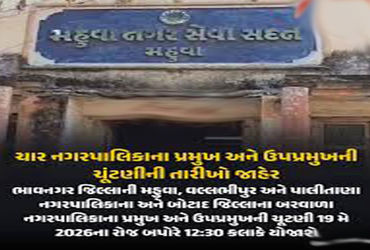 આજે ભાવનગર જિલ્લાની 3 પાલિકામાં પ્રમુખ-ઉપપ્રમુખની ચૂંટણી | Election of President and Vice President …