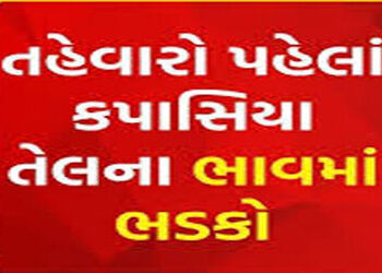 યુધ્ધ પછી પામતેલ સાથે સ્થાનિક કપાસિયા તેલમાં રૂ. 350 વધારો | After the war domestic cottonseed oil a…