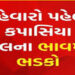 યુધ્ધ પછી પામતેલ સાથે સ્થાનિક કપાસિયા તેલમાં રૂ. 350 વધારો | After the war domestic cottonseed oil a…