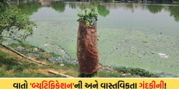 સ્માર્ટ સિટી વડોદરાનો વરવો ચહેરો: દંતેશ્વર તળાવની ગંદકીથી સ્થાનિકો ત્રાહિમામ, VMCની કામગીરી માત્ર ‘દ…