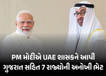 PM મોદીએ UAEના શાસકને આપી કેસર કેરી અને કચ્છની દુર્લભ પેઇન્ટિંગ! શાહી પરિવાર માટે ખાસ અણમોલ ભેટ | PM…