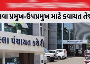 આજે જિલ્લાની 10 તાલુકા પંચાયતમાં પ્રમુખ-ઉપપ્રમુખની ચૂંટણી માટે ફોર્મ ભરાશે | Forms will be filled fo…
