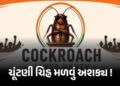 CJP બનાવી પણ ‘કોકરોચ’ ચૂંટણી ચિહ્ન મળવું મુશ્કેલ, જાણો ચૂંટણી પંચના નિયમો | Cockroach Janata Party V…