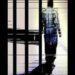 ભરણપોષણના કેસમાં 3 શખ્સને કેદની સજા | 3 people sentenced to prison in alimony case