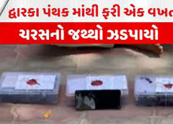 દ્વારકાના ઓખા મઢીમાંથી 1 કરોડના ચરસના જથ્થા સાથે શખ્સ ઝડપાયો | Man arrested with charas worth Rs 1 c…