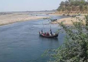 નર્મદા નદીમાં વસવાટ કરતા ઝીંગા અને કરચલામાંથી માઈક્રોપ્લાસ્ટિક મળ્યું