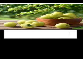 ઉનાળામાં આવતા ગુંદાનું સેવન મેદસ્વિતા નિવારણ માટે મહત્ત્વપૂર્ણ