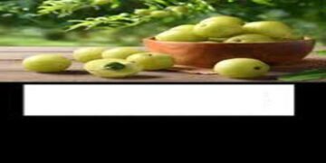 ઉનાળામાં આવતા ગુંદાનું સેવન મેદસ્વિતા નિવારણ માટે મહત્ત્વપૂર્ણ