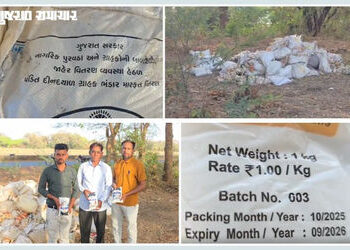 છોટા ઉદેપુર: સસ્તા અનાજની દુકાનોમાં ફાળવવાતું મીઠું ગરીબોને આપવાને બદલે રસ્તા પર ફેંકી દેવાયું, એક્સ…