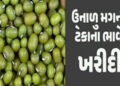 મોંઘવારીનાં ડામ વચ્ચે ટેકાના ભાવે મગની ખરીદીમાં રૂા. 110નો ઘટાડો | Amid inflation purchase of mugwor…