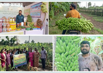 સુરત: પિતાનું કેન્સરમાં મૃત્યુ થતા દીકરાએ રાસાયણિક ખાતરને ત્યજી પ્રાકૃતિક ખેતી અપનાવી: આજે દેશમાં ‘ર…