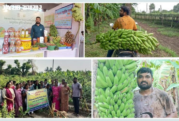 સુરત: પિતાનું કેન્સરમાં મૃત્યુ થતા દીકરાએ રાસાયણિક ખાતરને ત્યજી પ્રાકૃતિક ખેતી અપનાવી: આજે દેશમાં ‘ર…