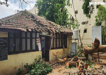 જામનગર: ભારે પવનના કારણે મહાકાય વૃક્ષ પડતા મહિલા પોલીસ મથક બન્યુ ખંડેર, સરકારી સામાનને મોટું નુકસાન …