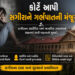 મહિલાને પોતાના શરીર અંગે નિર્ણય લેવાનો અધિકાર, હાઈકોર્ટે દુષ્કર્મ પીડિતાને ગર્ભપાતની મંજૂરી આપી | Pr…