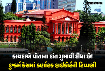 ‘હાથ-પગ કાપો તો જ લોકો કાયદો માનશે…’ દુષ્કર્મના આરોપીની જામીન અરજી ફગાવતા કર્ણાટક હાઈકોર્ટની ટિપ્પ…