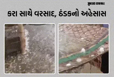 રાજ્યના કેટલાક જિલ્લાના વાતાવરણમાં પલટો: સાબરકાંઠાના પોશીનામાં કરા પડ્યા, અમરેલીમાં ગાજવીજ સાથે વરસા…
