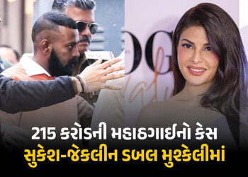 215 કરોડનો મહાઠગાઈ કેસમાં સુકેશ-જેકલીનની મુશ્કેલી વધી, આરોપો નક્કી કરાયા, 16 જુલાઈએ સુનાવણી | Sukesh…