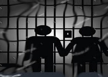 દયાળ ગામના દંપતીને 3 મહિના કેદની સજા | Couple from Dayal village sentenced to 3 months in prison
