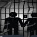 દયાળ ગામના દંપતીને 3 મહિના કેદની સજા | Couple from Dayal village sentenced to 3 months in prison