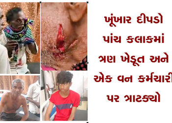 ખૂંખાર દીપડો પાંચ કલાકમાં ત્રણ ખેડૂત અને એક વન કર્મચારી પર ત્રાટક્યો | A ferocious leopard attacked …