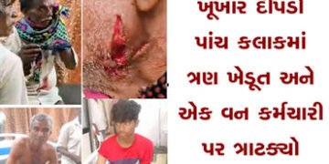 ખૂંખાર દીપડો પાંચ કલાકમાં ત્રણ ખેડૂત અને એક વન કર્મચારી પર ત્રાટક્યો | A ferocious leopard attacked …