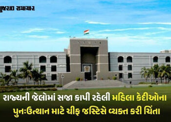 ‘જેલમાંથી છૂટેલી મહિલાઓની દરકાર કોઈ નથી રાખતું, આ સમાજની કરૂણતા’: હાઈકોર્ટની ચિંતા | gujarat high co…