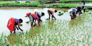 અલ નીનો અસર : ભારતમાં ચોમાસુ 40% નબળું, પાક અને અર્થતંત્ર માટે જોખમ | El Nino effect : Monsoon in In…