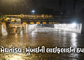 VIDEO: મુંબઈમાં ચોમાસાની તોફાની એન્ટ્રી, 24 કલાકમાં 300 મીમી વરસાદ, રેલવે ટ્રેક ડૂબ્યા, આખું શહેર જળ…