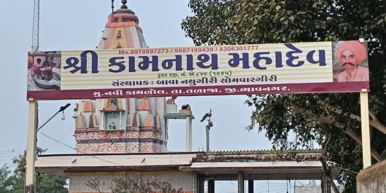 તળાજા તાલુકાના નવી કામળોલ ગામે આવેલ કામનાથ મહાદેવ મંદિરમાં શ્રાવણ માસ નિમિત્તે વિવિધ ધાર્મિક કાર્યકર…