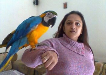 રંગભૂમિથી સર્વભૂમિની અર્ચનાયાત્રા