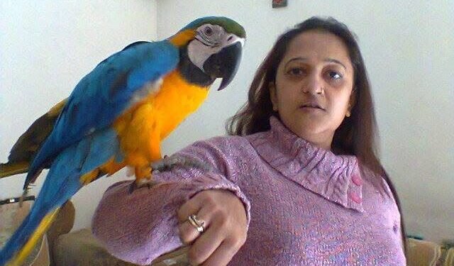 રંગભૂમિથી સર્વભૂમિની અર્ચનાયાત્રા