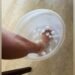 Sidharth Malhotra Turns to Natural Remedies for Leg Injury, Shares a Glimpse of His Ice Therapy Reco…